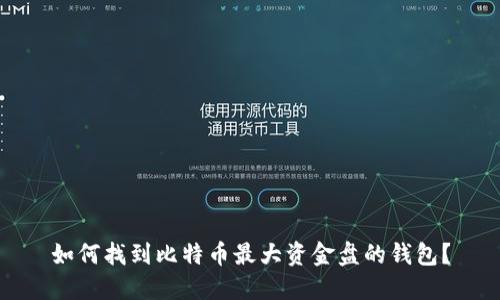 如何找到比特币最大资金盘的钱包？