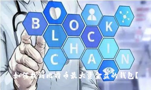 如何找到比特币最大资金盘的钱包？