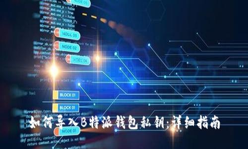 如何导入B特派钱包私钥：详细指南