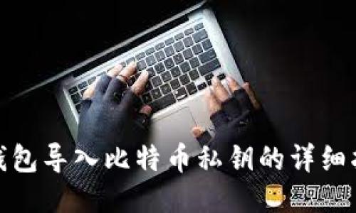 : 钱包导入比特币私钥的详细指南