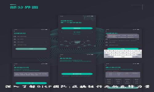深入了解BitP团队：区块链行业的先锋力量