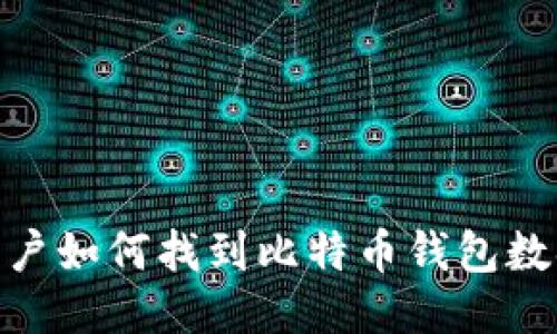 Mac用户如何找到比特币钱包数据目录