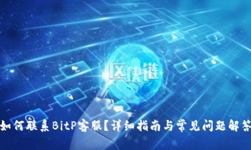 如何联系BitP客服？详细指南与常见问题解答
