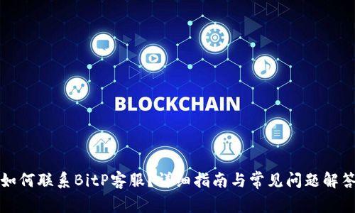 如何联系BitP客服？详细指南与常见问题解答