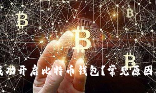 为何无法成功开启比特币钱包？常见原因及解决方法