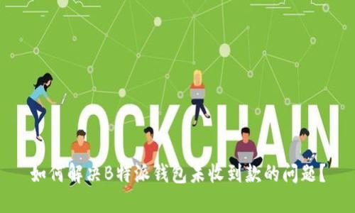 如何解决B特派钱包未收到款的问题？