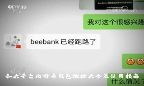 各大平台比特币钱包地址大全及使用指南
