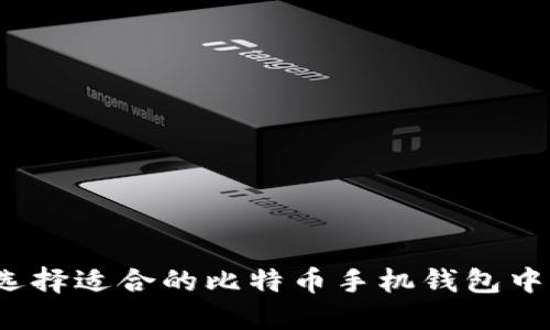 如何选择适合的比特币手机钱包中文版？