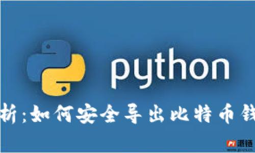 全面解析：如何安全导出比特币钱包密钥