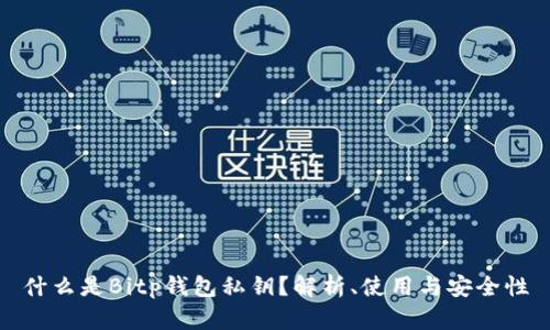 什么是Bitp钱包私钥？解析、使用与安全性