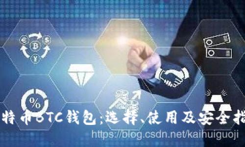 比特币BTC钱包：选择、使用及安全指南