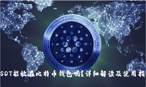 USDT能放在比特币钱包吗？详细解读及使用指南