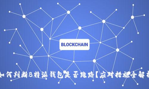 如何判断B特派钱包是否跑路？应对措施全解析