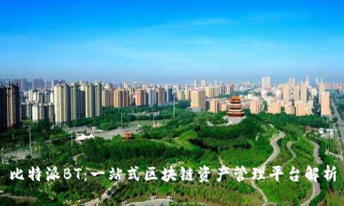 比特派BT：一站式区块链资产管理平台解析
