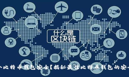 哪个比特币钱包安全？揭秘最佳比特币钱包的安全性