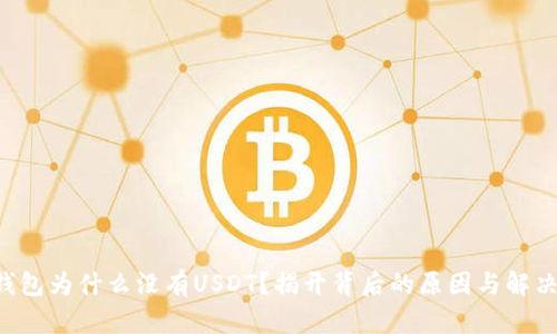OTC钱包为什么没有USDT？揭开背后的原因与解决方案