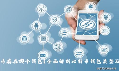 比特币存在哪个钱包？全面解析比特币钱包类型及特点