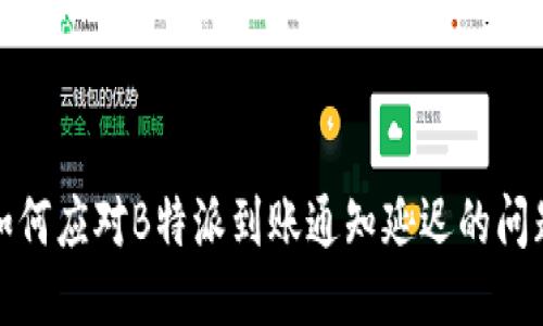 如何应对B特派到账通知延迟的问题