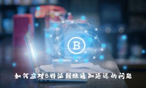如何应对B特派到账通知延迟的问题