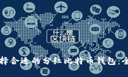 如何选择合适的分红比特币钱包：全面指南