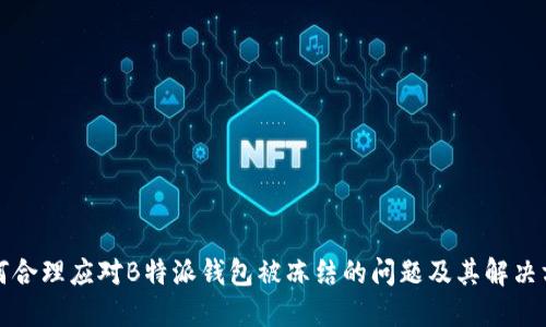 如何合理应对B特派钱包被冻结的问题及其解决方案