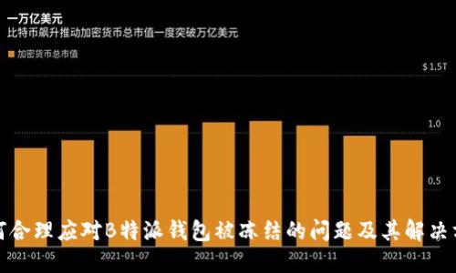 如何合理应对B特派钱包被冻结的问题及其解决方案