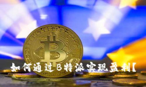 如何通过B特派实现盈利？