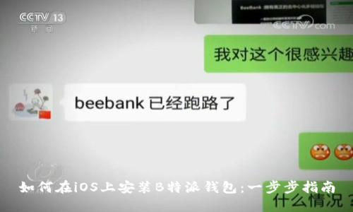 如何在iOS上安装B特派钱包：一步步指南