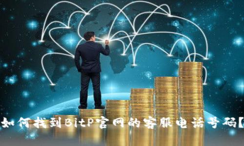如何找到BitP官网的客服电话号码？