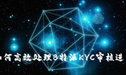 如何高效处理B特派KYC审核进程