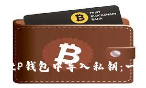 如何在BitP钱包中导入私钥：一步步指南