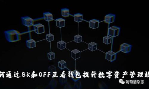 如何通过BK和OFF互看钱包提升数字资产管理效率