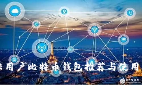大陆用户比特币钱包推荐与使用指南