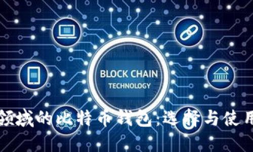 外贸领域的比特币钱包：选择与使用指南