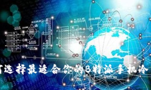 如何选择最适合你的B特派手机冷钱包
