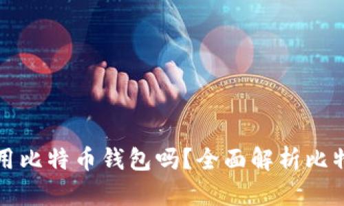 比特币一定要使用比特币钱包吗？全面解析比特币钱包的重要性