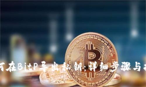如何在BitP导出私钥：详细步骤与指南