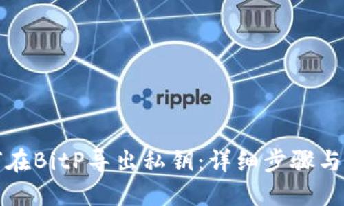 如何在BitP导出私钥：详细步骤与指南