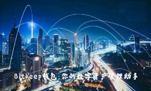 Bitkeep钱包：你的数字资产管理助手
