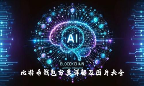 比特币钱包分类详解及图片大全