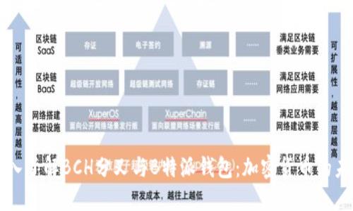 深入了解BCH分叉与B特派钱包：加密货币的未来