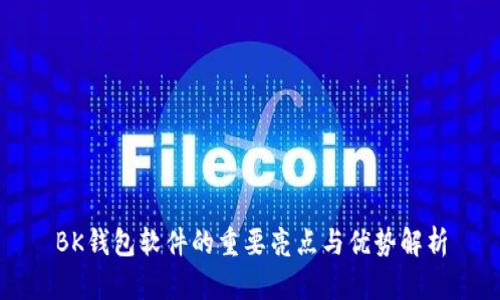 BK钱包软件的重要亮点与优势解析