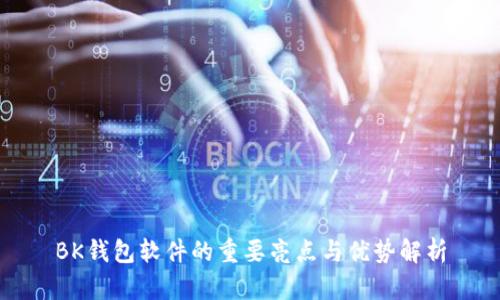 BK钱包软件的重要亮点与优势解析