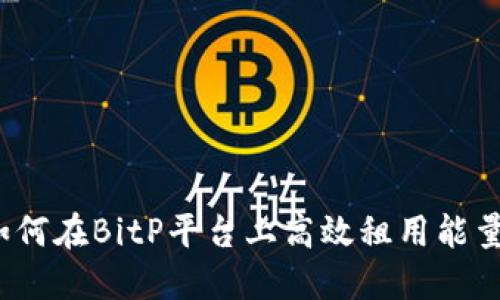 如何在BitP平台上高效租用能量？