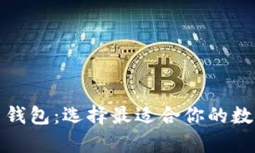 全面解析比特币钱包：选择最适合你的数字资产管理工具