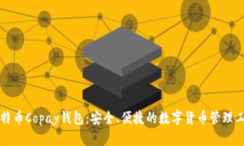比特币Copay钱包：安全、便捷的数字货币管理工具