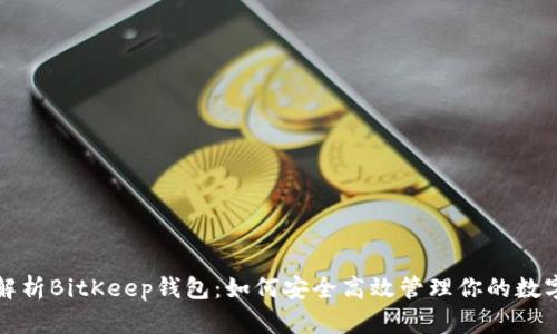 全面解析BitKeep钱包：如何安全高效管理你的数字资产