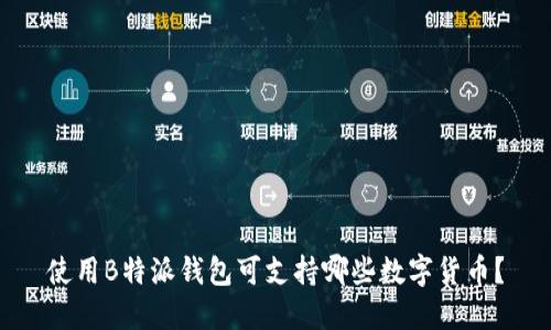 使用B特派钱包可支持哪些数字货币？