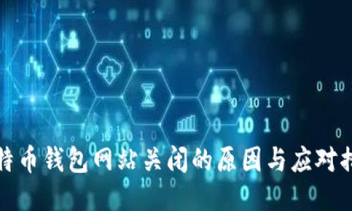 比特币钱包网站关闭的原因与应对措施