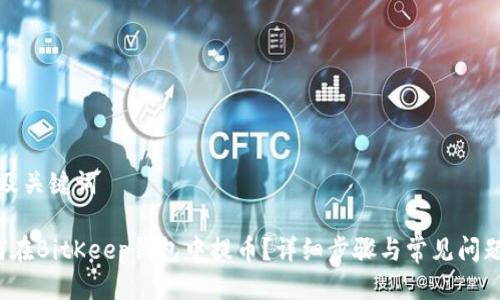 思考及关键词

 如何在BitKeep钱包中提币？详细步骤与常见问题解答